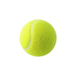 Cricket Ball