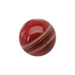 Cricket Ball