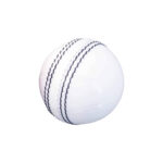 Cricket Ball