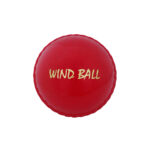 Cricket Ball